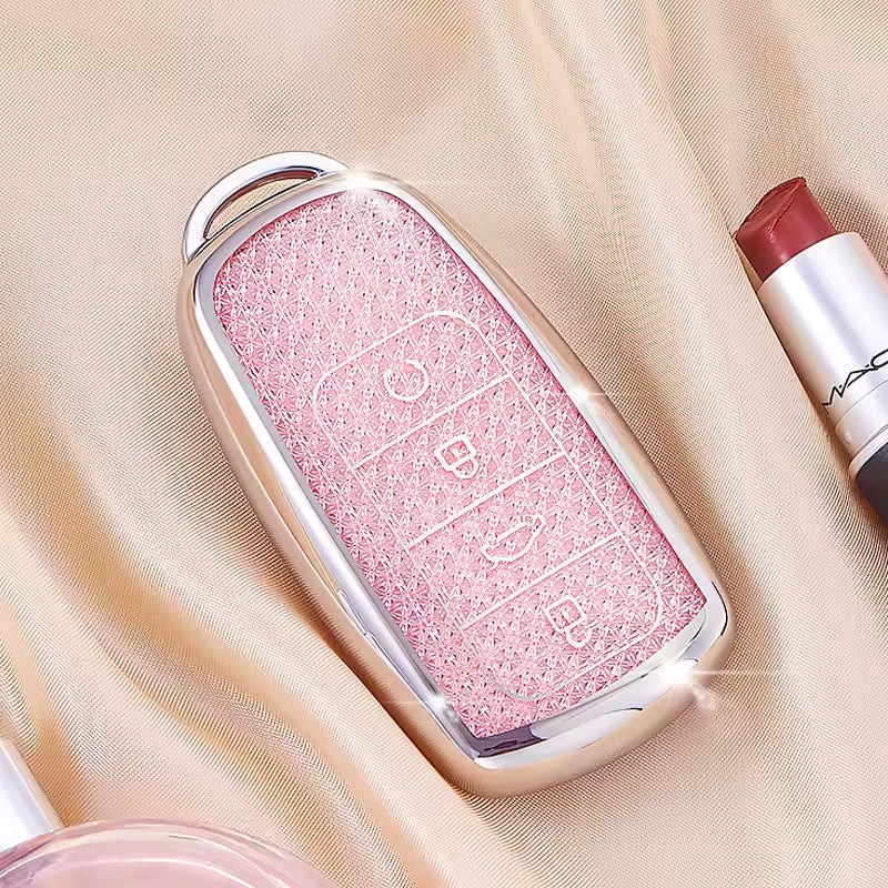 Key case only